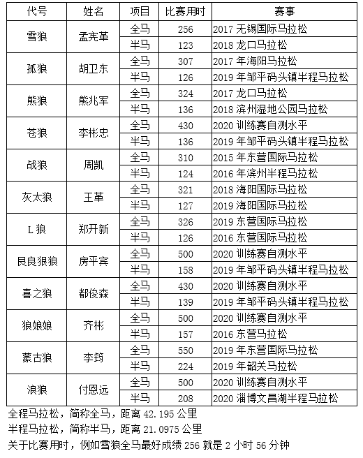 遇見更好的自己-北方的狼 ——?jiǎng)倮摴荞R拉松隊(duì)